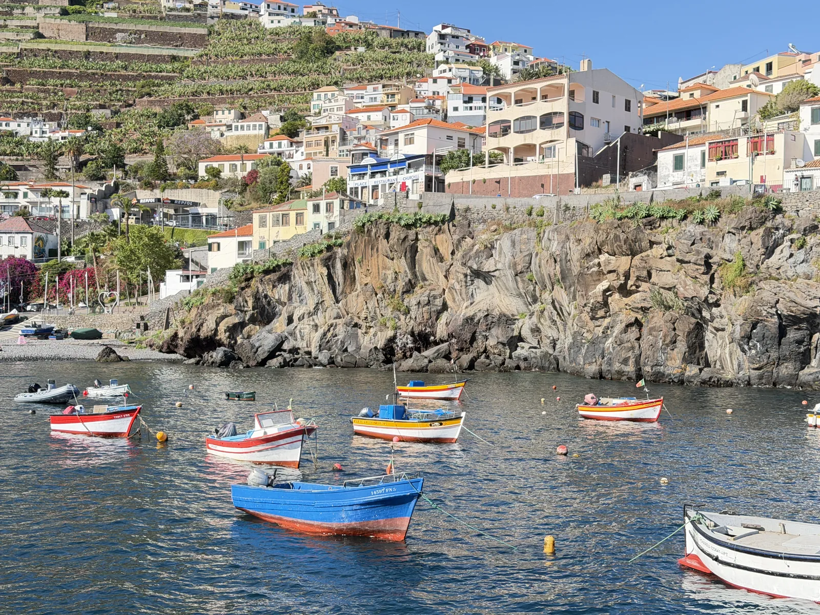 Câmara de Lobos Fishing Village private TukTuk tour in Madeira