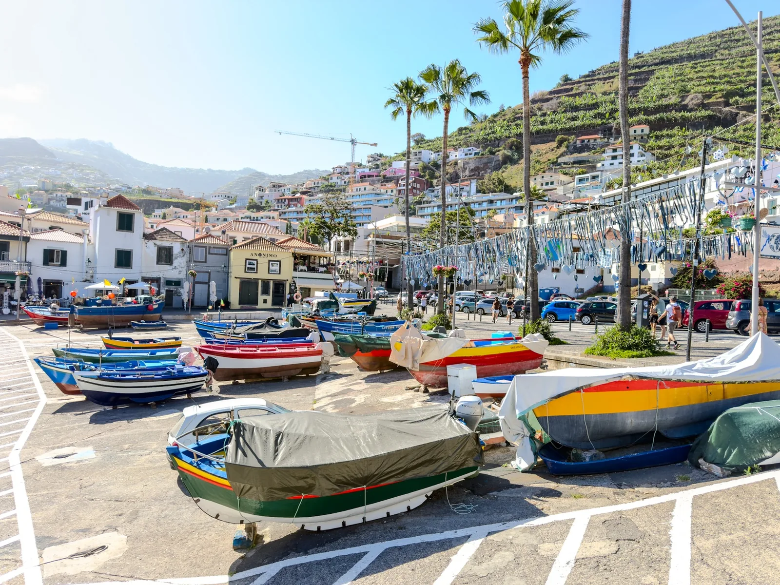 Câmara de Lobos fishing village tour photo 3