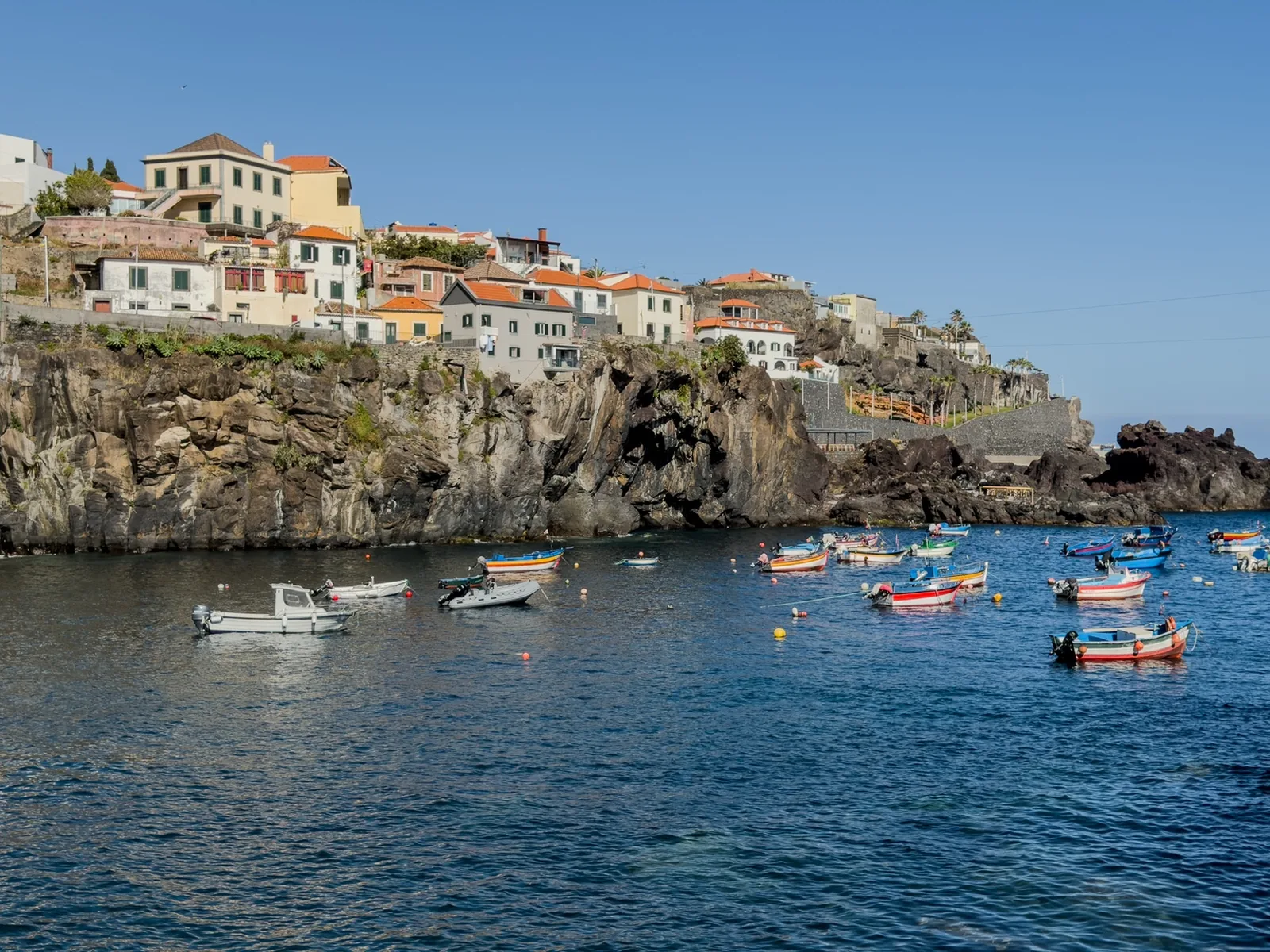 Câmara de Lobos fishing village tour photo 5