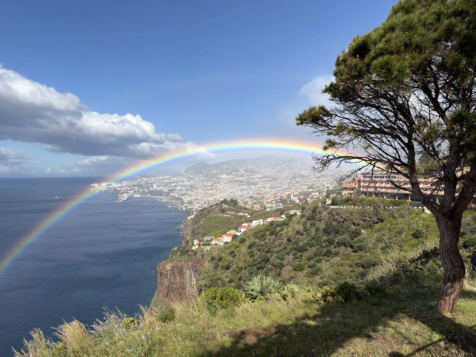 TukTuk Full Experience private tour in Madeira
